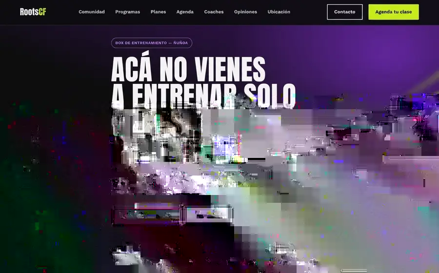 Captura del sitio de RootsCF